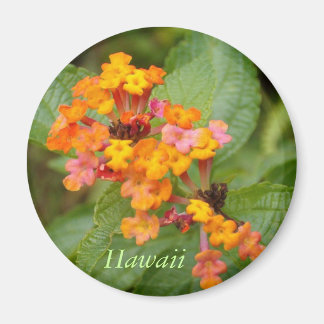 Aimant Fleur Hawaii