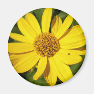 Aimant Fleur jaune aux feuilles verts