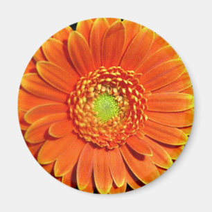 Aimant Fleur Jaune Orange