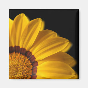 Aimant Fleur jaune sur arrière - plan noir