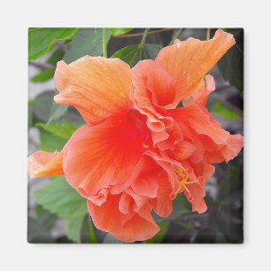 Aimant Fleur orange
