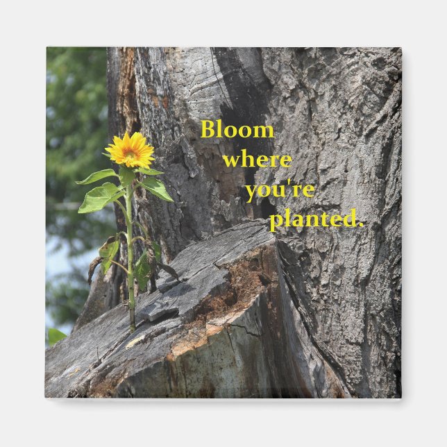 aimant - fleur où vous êtes planté (Devant)