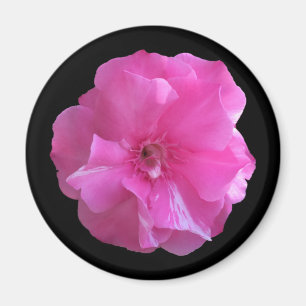 Aimant Fleur rose