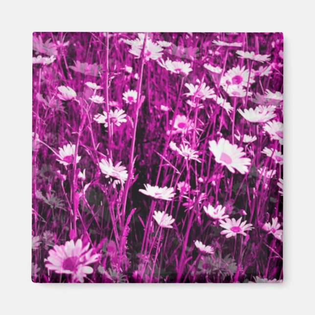 AIMANT FLEUR SAUVAGE (Devant)