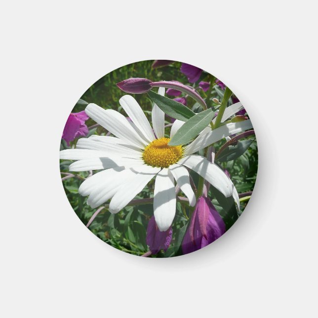 Aimant Fleur sauvage Daisy et Fireweed (Devant)