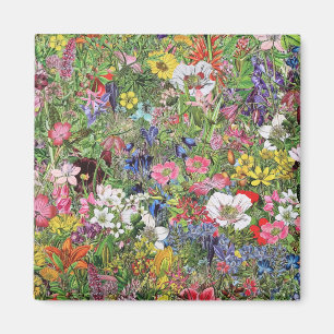 Aimant Fleur sauvage de la nature en fleurs botaniques
