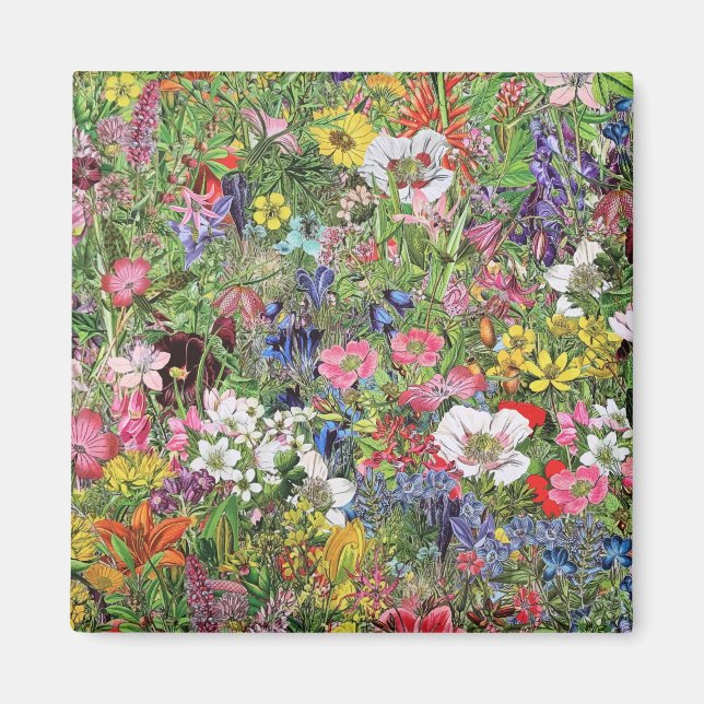 Aimant Fleur sauvage de la nature en fleurs botaniques (Devant)