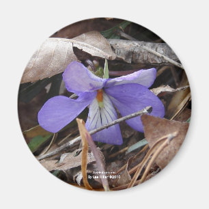 Aimant Fleur sauvage Oiseaux-Pied Violet Sources thermale