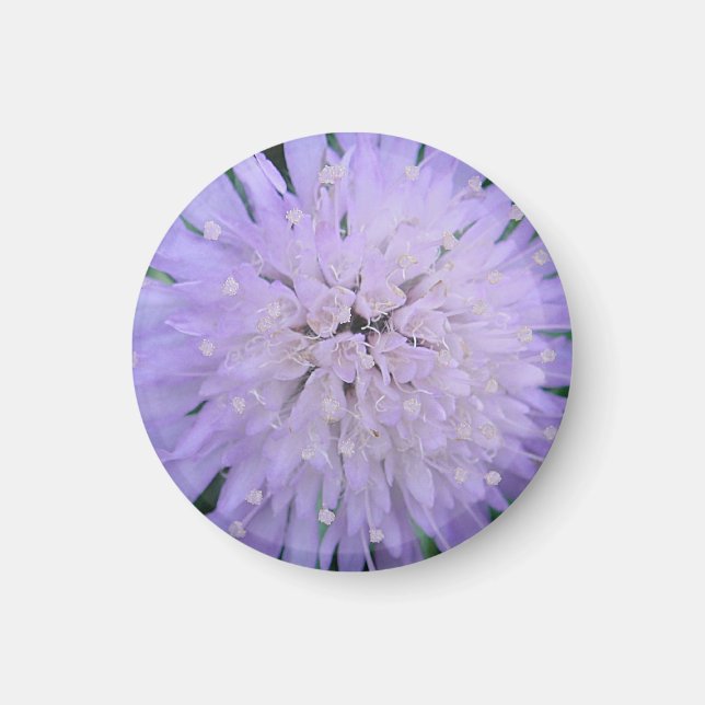 Aimant Fleur violette (Devant)