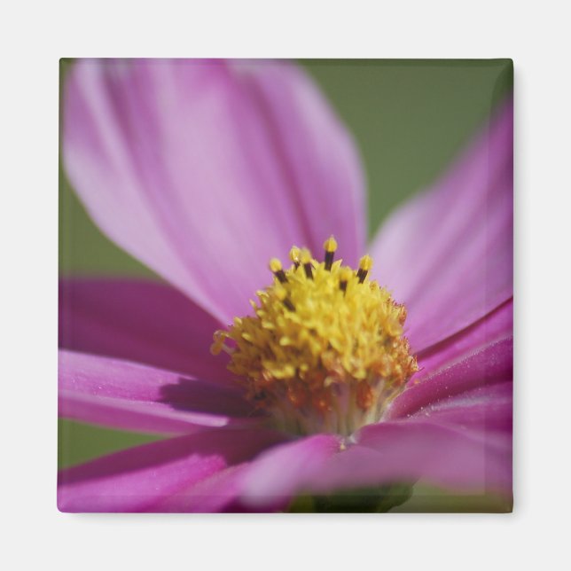 Aimant Fleur violette (Devant)