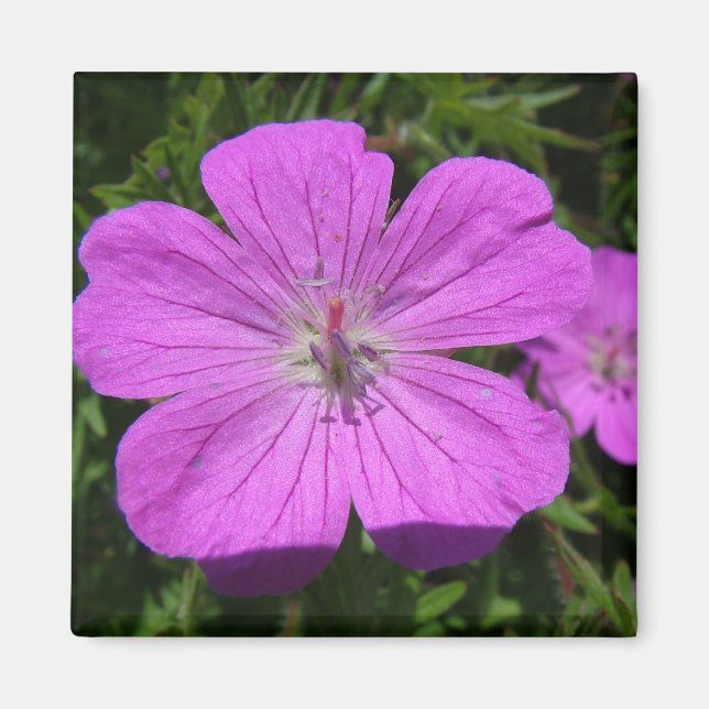 Aimant fleur violette (Devant)