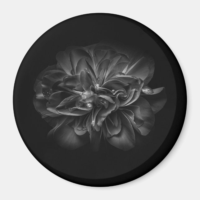 Aimant Fleurs 67 BW (Devant)