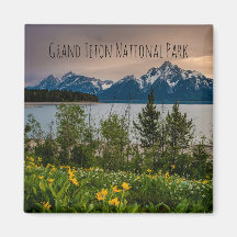 Fleurs à Colter Bay