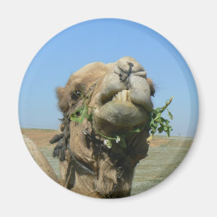 Aimant Fleurs à mâcher de chameau