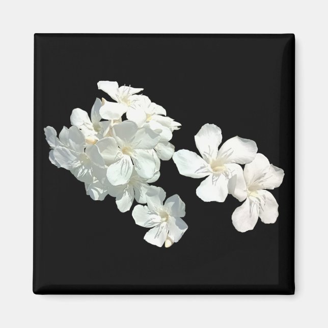 Aimant Fleurs blanches (Devant)