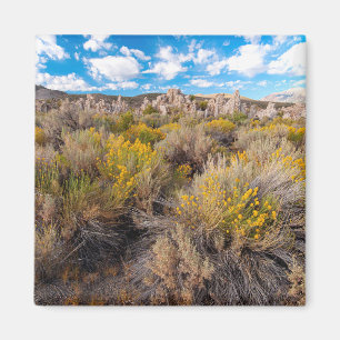 Aimant Fleurs Blooming Sagebrush Californie