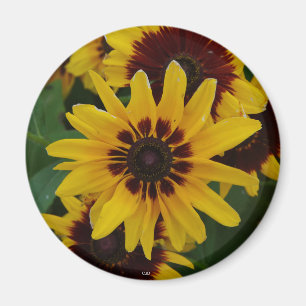 Aimant Fleurs Brown jaunes