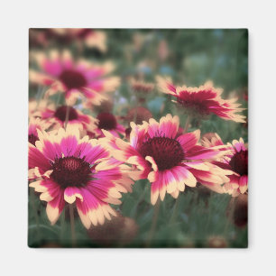 Aimant Fleurs couvrantes rêveuses