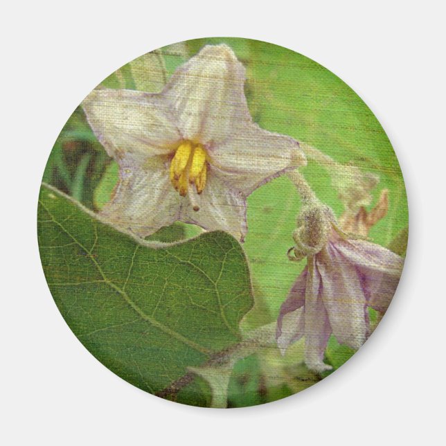 Aimant Fleurs d'aubergines (Devant)