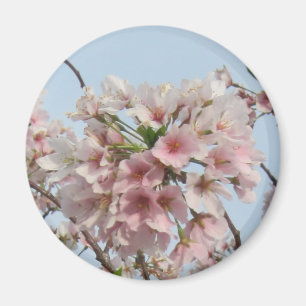 Aimant Fleurs de cerisier