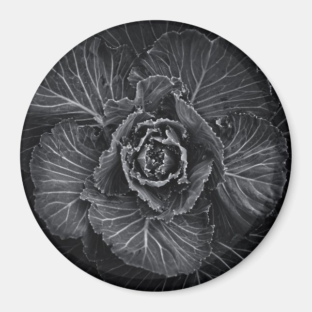 Aimant Fleurs De jardin En Noir Et Blanc No 108 (Devant)