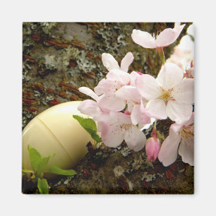 Aimant Fleurs de Pâques