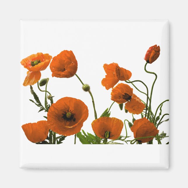 Aimant Fleurs de pavot orange aquarelle motifs floraux (Devant)
