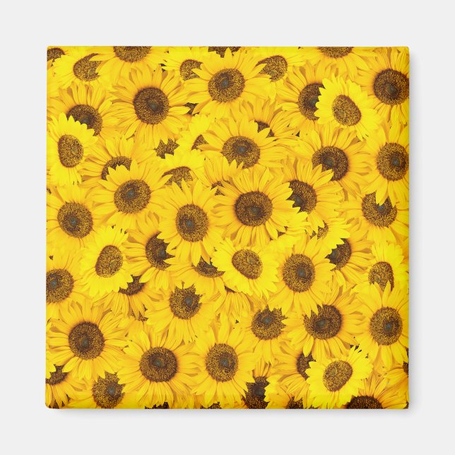Aimant Fleurs de soleil (Devant)