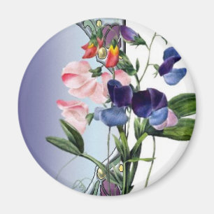 Aimant Fleurs de Sweetpea