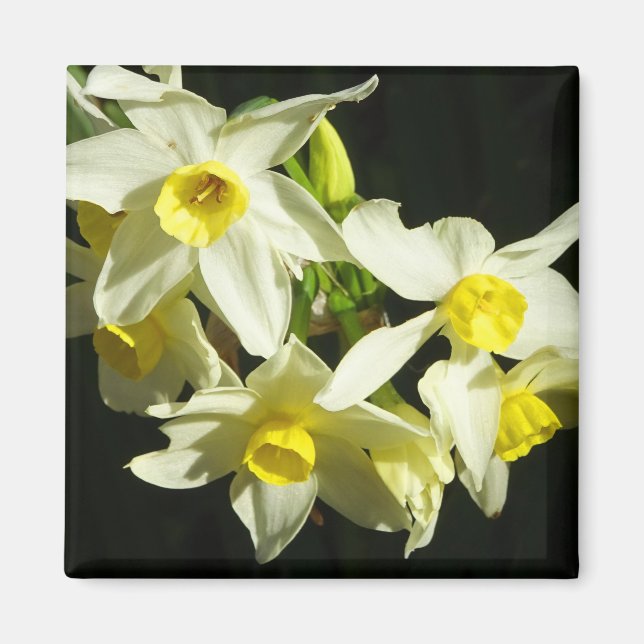 Aimant Fleurs d'hiver (Devant)