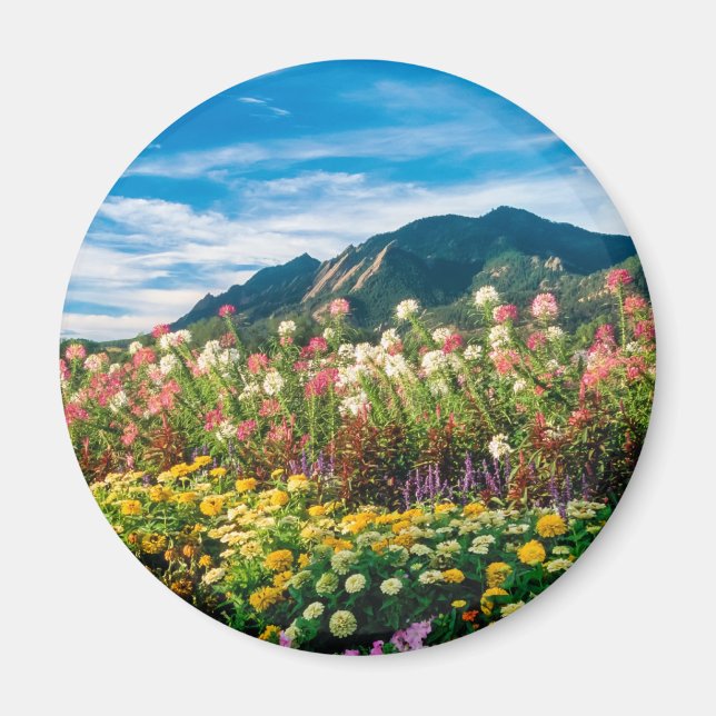Aimant Fleurs Et Flatirons (Devant)