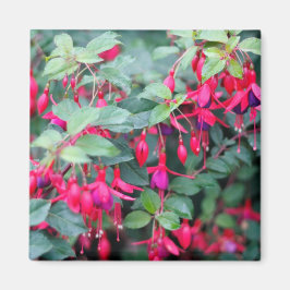 Aimant Fleurs Fuchsia en rouge violet