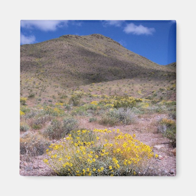 Aimant Fleurs jaunes dans la vallée de la Mort (Devant)