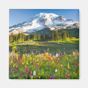 Aimant Fleurs   Mt. Rainier Fleurs sauvages
