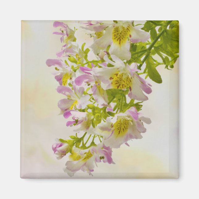 Aimant Fleurs papillons (Devant)