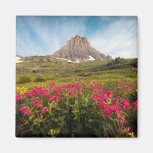 Aimant Fleurs   Parc national des Glaciers du Montana