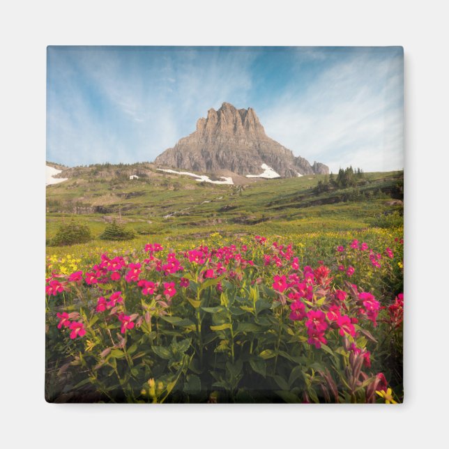 Aimant Fleurs | Parc national des Glaciers du Montana (Devant)