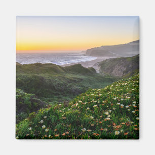 Aimant Fleurs Père Noël Cruz Californie