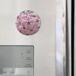 Aimant Fleurs Plantes roses Hoya Floral