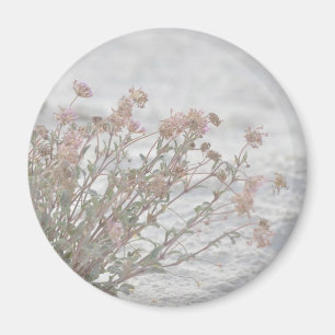 Aimant Fleurs Roses Sur Sable Blanc