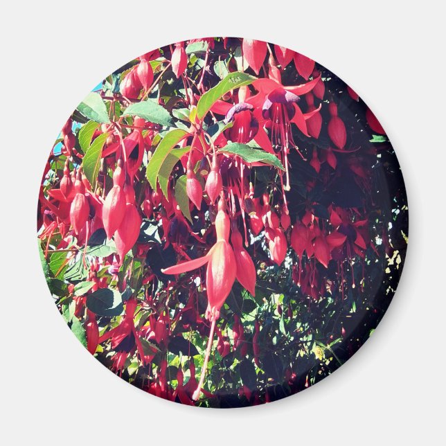 Aimant Fleurs rouges (Devant)