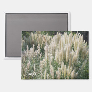 Aimant Fleurs sauvages du Texas