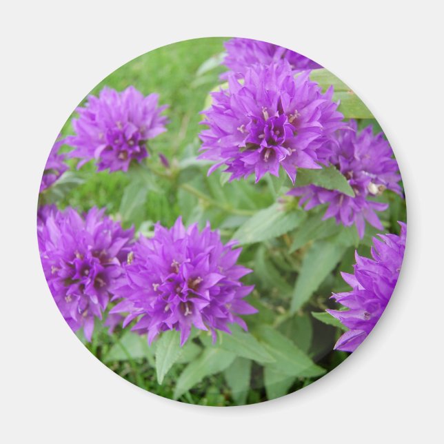 Aimant fleurs violettes (Devant)