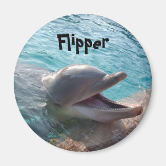 Aimant Flipper