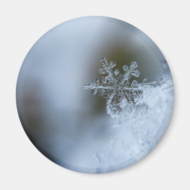 Aimant Flocon de neige Icy (Devant)