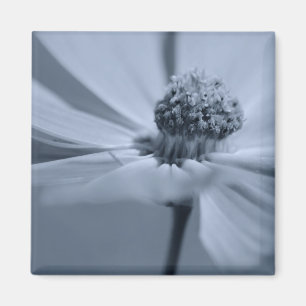 Aimant floral