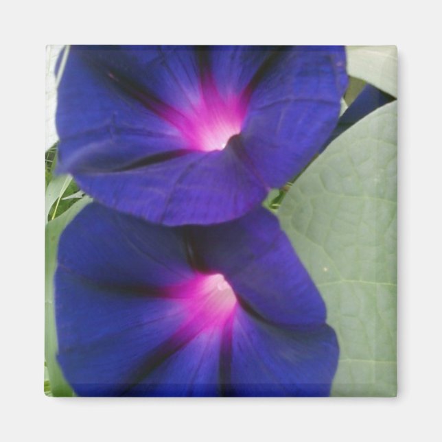 Aimant floral pour réfrigérateur (Devant)