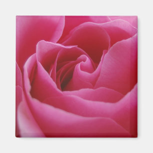 Aimant floral rose