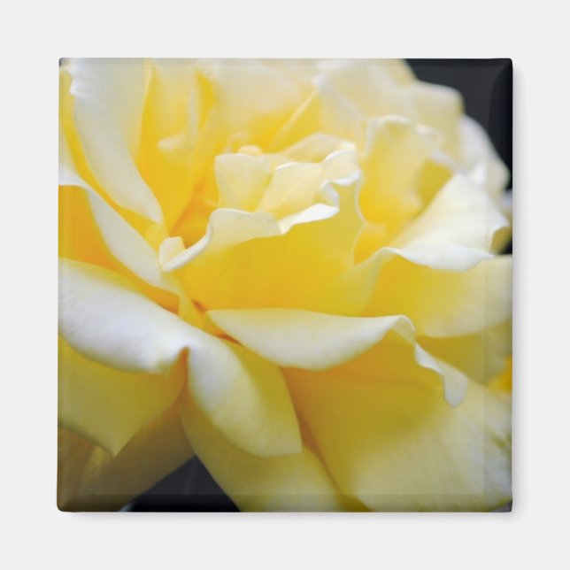Aimant Floral rose jaune 5 (Devant)
