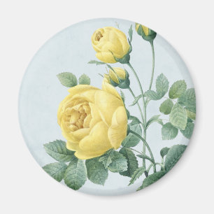 Aimant floral vintage avec belle rose jaune